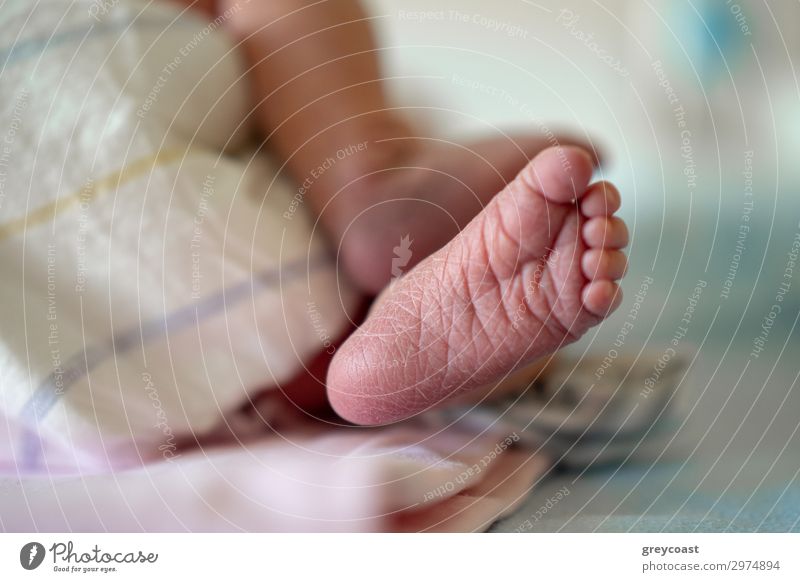 Eine Nahaufnahme eines winzigen Babyfußes mit trockener, rissiger Haut Kind Mensch Kindheit Fuß 1 0-12 Monate schlafen schön Zeh neugeboren Ferse Babyferse