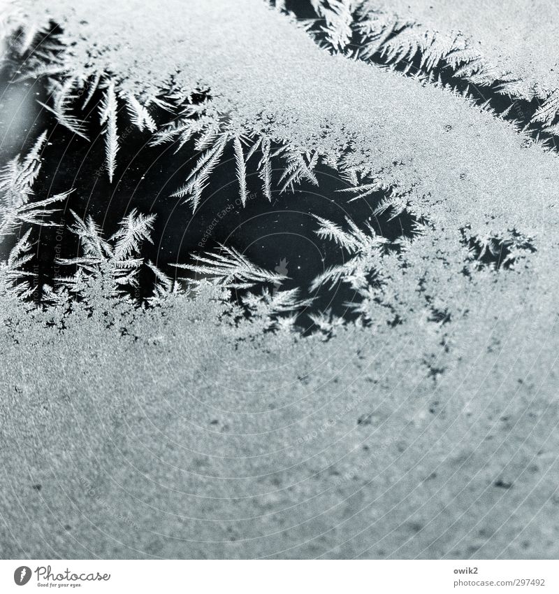 Kristalle am Fenster Winter Eis Frost Eisblumen kalt Spitze stachelig bizarr Farbfoto Gedeckte Farben Innenaufnahme Nahaufnahme Detailaufnahme Makroaufnahme