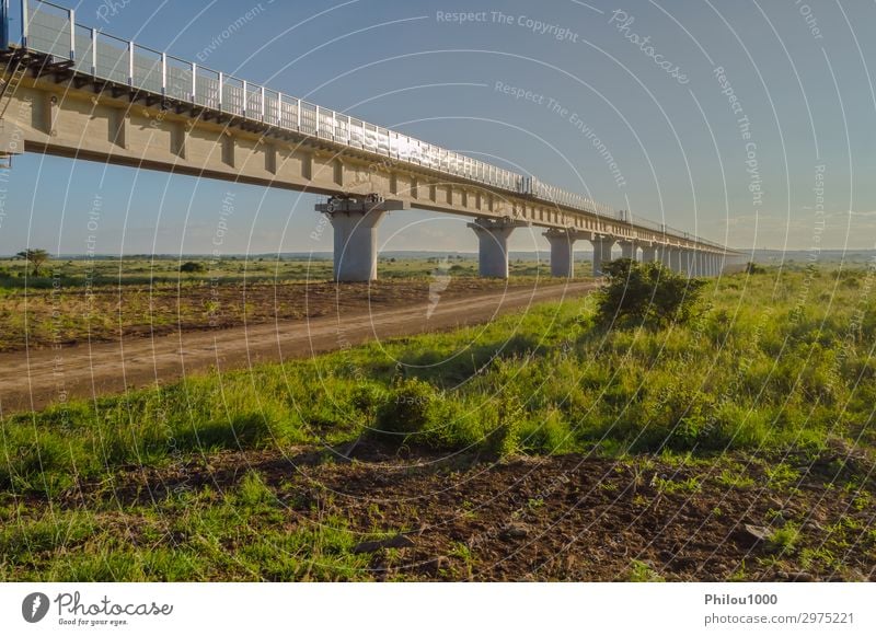 Blick auf das Viadukt der Nairobi-Eisenbahn nach Mombasa Park Bahnhof Brücke Architektur Verkehr Straße Autobahn Hochstraße modern grün Kenia Hintergrund