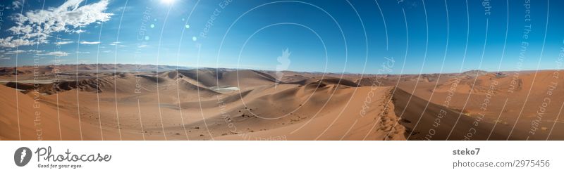 Sossusvlei Sand Wüste Namib heiß blau gelb orange Einsamkeit exotisch Horizont Unendlichkeit Wege & Pfade Ferne Düne Dürre Menschenleer Textfreiraum oben