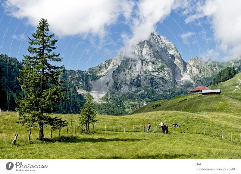 Bergwelt Wohlgefühl ruhig Ausflug Sommer Berge u. Gebirge wandern Freundschaft Menschengruppe Natur Landschaft Tier Wolken Schönes Wetter Tanne Felsen Alpen
