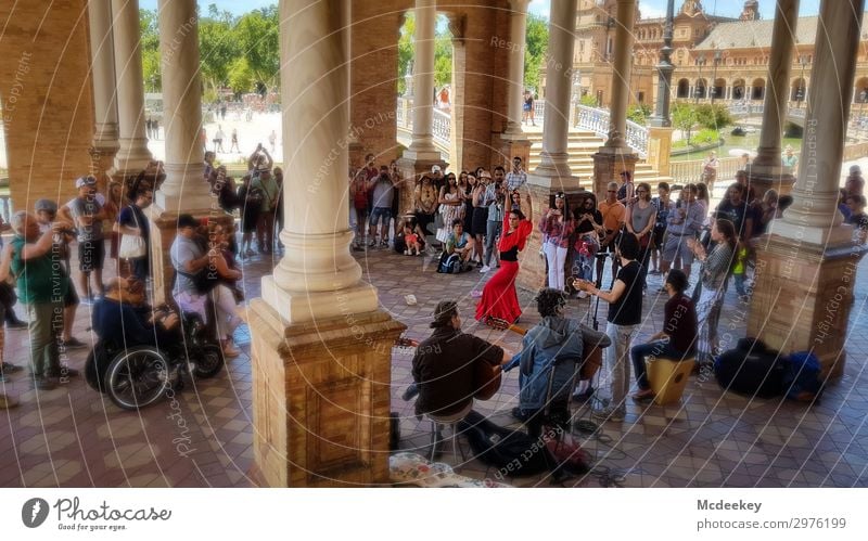 Flamenco - Plaza de España (Sevilla) Mensch Frau Erwachsene Menschenmenge Andalusien Spanien Europa Stadt Stadtzentrum Altstadt bevölkert Park Platz Bauwerk