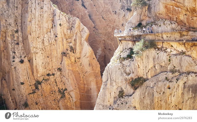 Caminito del Rey Klettern Bergsteigen Mensch Menschengruppe Umwelt Natur Landschaft Sommer Schönes Wetter Wärme Dürre Felsen Schlucht Andalusien Spanien Europa