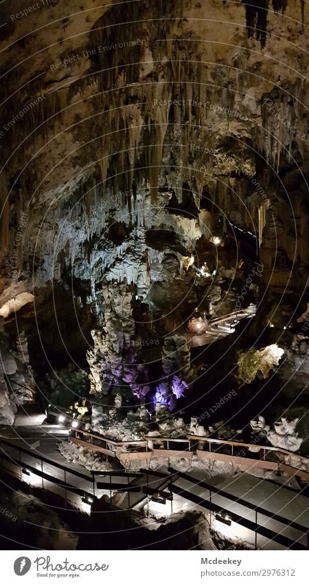 Cueva de Nerja - Skull Kopf Gesicht Umwelt Natur Landschaft Wassertropfen Sommer Schönes Wetter Felsen Tropfsteine Tropfsteinhöhle Höhle Andalusien Spanien
