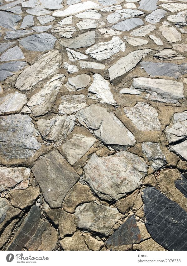 steinig ist der Weg, der vor uns liegt ... Wege & Pfade Bodenplatten Stein liegen elegant viele Zusammensein Leben standhaft ästhetisch Partnerschaft Design