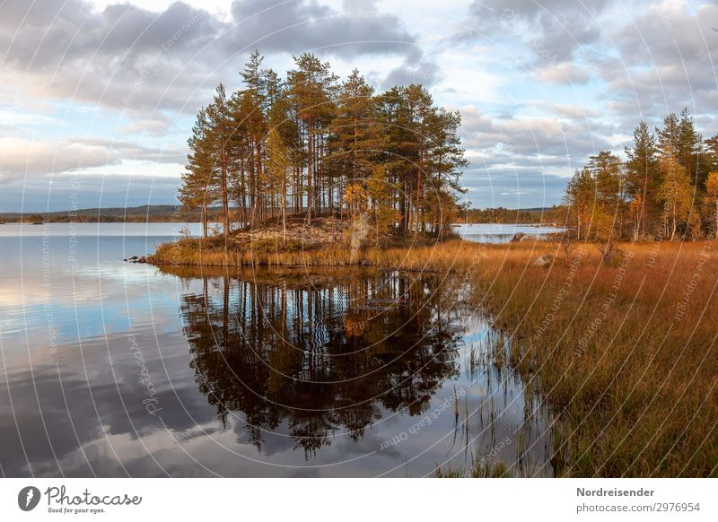 Seelandschaft in Schweden Ferien & Urlaub & Reisen Tourismus Abenteuer Freiheit Camping Natur Landschaft Urelemente Wasser Himmel Wolken Sonne Sommer Herbst