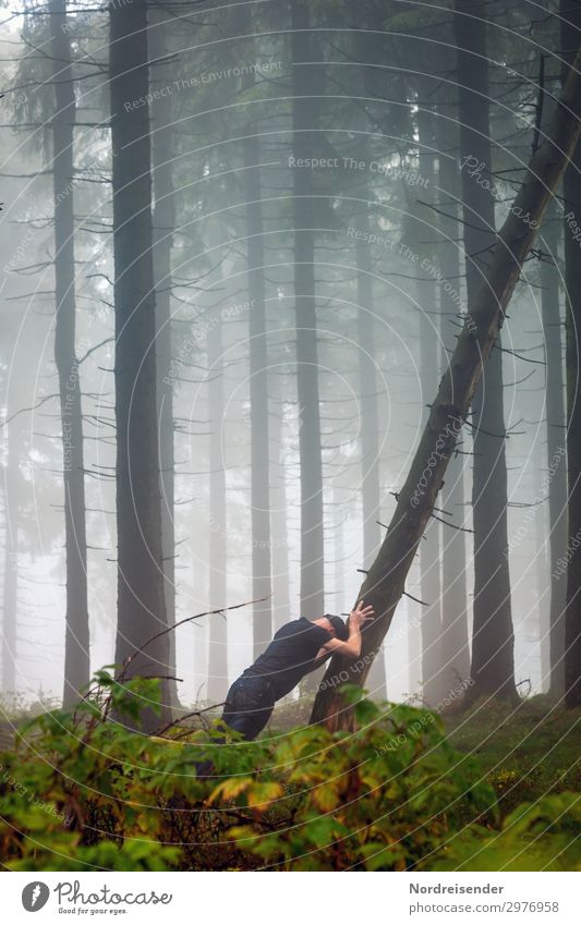 Die Kraft des Willens Ausflug Erfolg Mensch maskulin Mann Erwachsene Natur Nebel Baum Sträucher Wald T-Shirt Jeanshose Mütze kämpfen machen sportlich dunkel