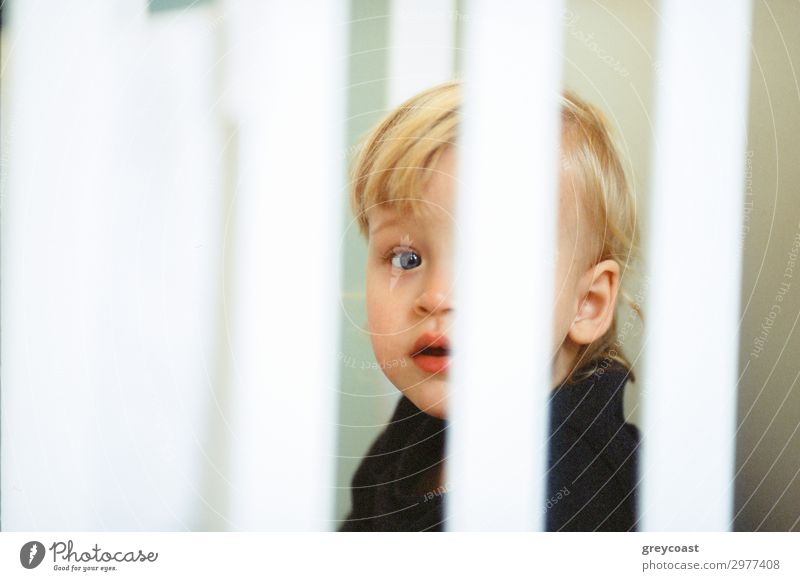 Nahaufnahme eines blauäugigen Babymädchens mit blondem Haar, Blick durch die Gitterstäbe des Kinderbettes Gesicht Kinderzimmer Mensch feminin Kleinkind Kindheit