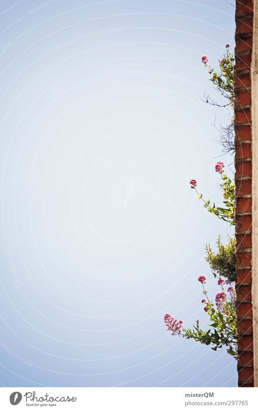Lissabon's Dächer. Kunst ästhetisch Himmel (Jenseits) Dachrinne Blume oben Detailaufnahme Sommer Unkraut Farbfoto Gedeckte Farben Außenaufnahme Experiment