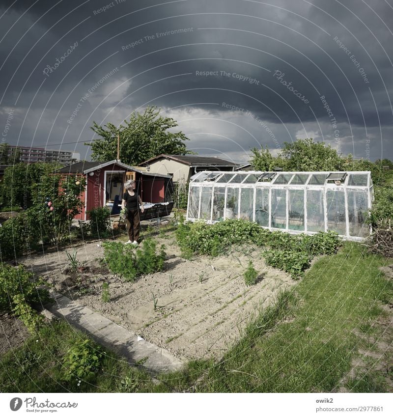 Wetters Tücken Freizeit & Hobby Frau Erwachsene 1 Mensch Umwelt Natur Pflanze Gewitterwolken Frühling schlechtes Wetter Baum Blume Gras Sträucher Grünpflanze