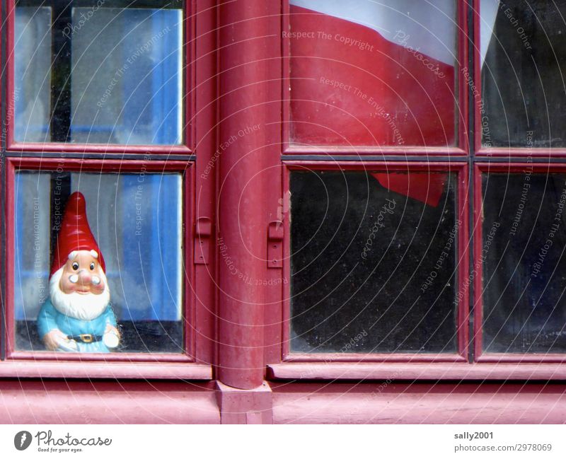 Aufpasser... Frankreich Haus Fenster Sprossenfenster beobachten Blick stehen warten Freundlichkeit klein Originalität klug rot Erwartung Identität Kitsch