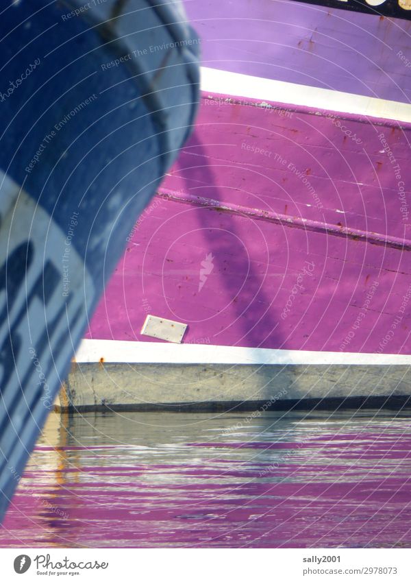 Hafenfarben... Schifffahrt Fischerboot liegen Schwimmen & Baden warten außergewöhnlich maritim mehrfarbig violett rosa Pause ruhig Farbe Farbfoto Außenaufnahme