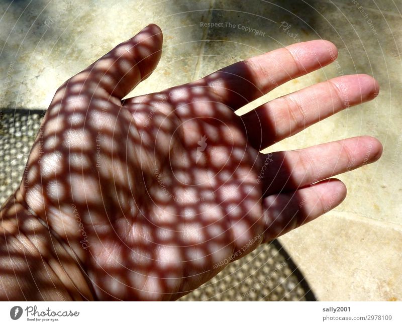 schattiges Tattoo... Hand Finger ästhetisch außergewöhnlich elegant Gesundheit trendy schön einzigartig natürlich verrückt Coolness Idee Kreativität nackt