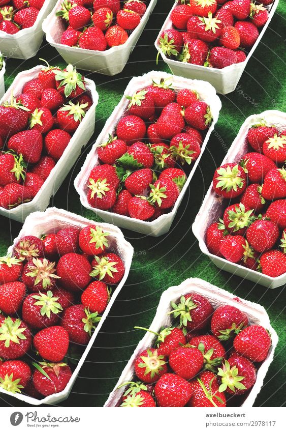 frische Erdbeeren auf dem Markt Lebensmittel Frucht Ernährung Vegetarische Ernährung kaufen Gesunde Ernährung lecker rot Vitamin C Supermarkt Ladengeschäft