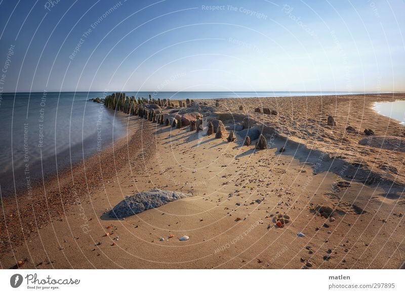 mattinale Natur Landschaft Erde Sand Himmel Wolkenloser Himmel Horizont Sonne Wetter Schönes Wetter Küste Strand Ostsee Menschenleer blau braun Holzpfahl Stein