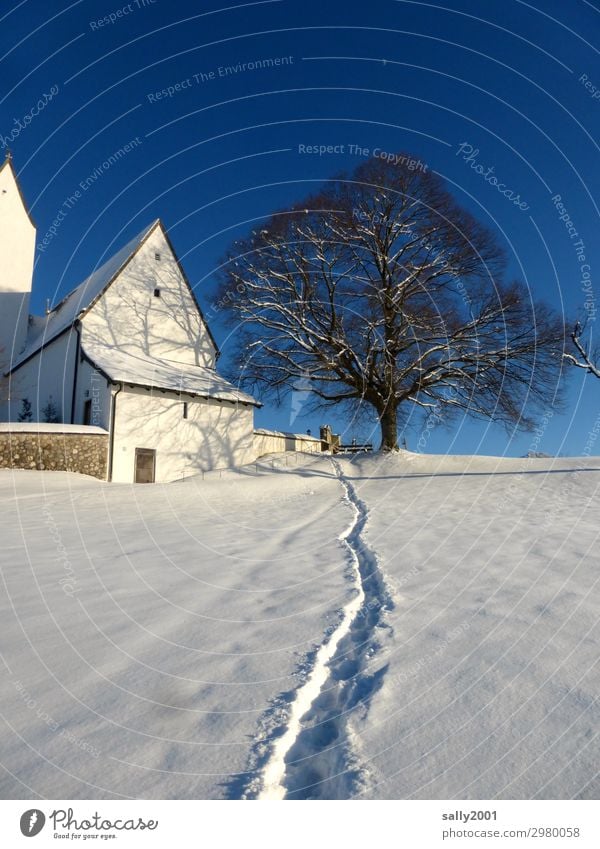 Winterpfad... Schönes Wetter Schnee Baum Alpen Berge u. Gebirge Samerberg Bayern Kirche Wege & Pfade ästhetisch frisch kalt weiß Zufriedenheit Einsamkeit