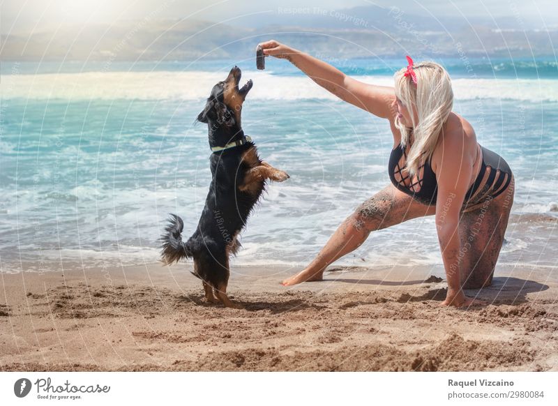 Frau, die mit einem Hund am Strand spielt. ein lizenzfreies Stock