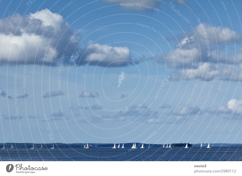 Segelschiffe unter blauem Himmel Landschaft Wolken Schönes Wetter Wellen Küste Meer Wolkenhimmel Segeln Segelboot Segeljacht Segelurlaub schön Wasserfahrzeug