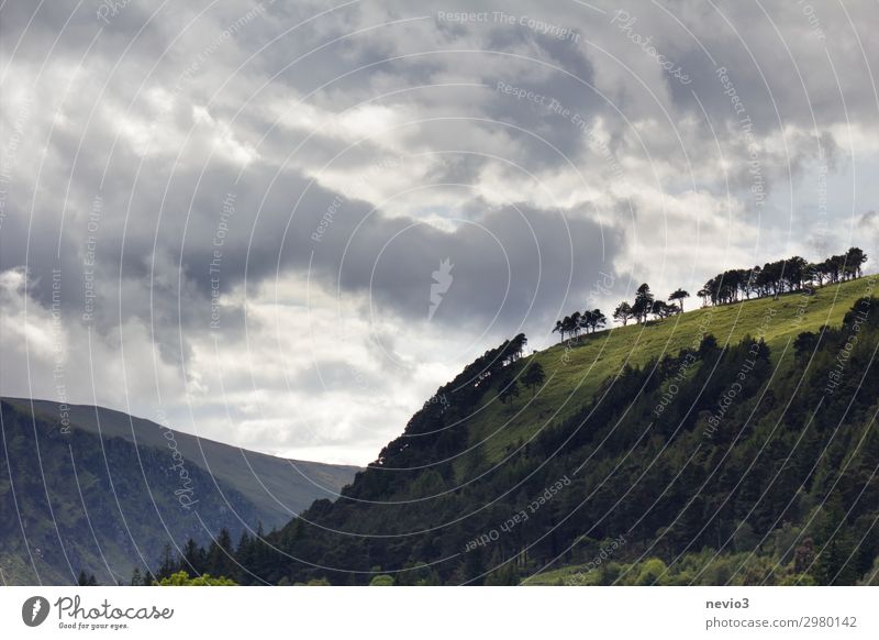 Glendalough in Irland irisch Kulturlandschaft Kloster Klostergarten Hang Hügel hügelig grün Grünland Gras bewaldet bewaldeter Hügel dramatischer Himmel Wetter