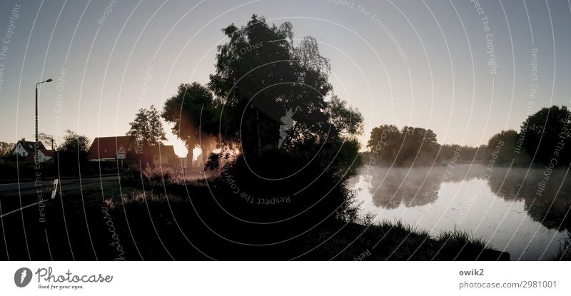 Lausitzmorgen Umwelt Natur Landschaft Wolkenloser Himmel Herbst Nebel Baum Sträucher Teich See Dorf Haus leuchten Windstille friedlich Sonnenaufgang ruhig