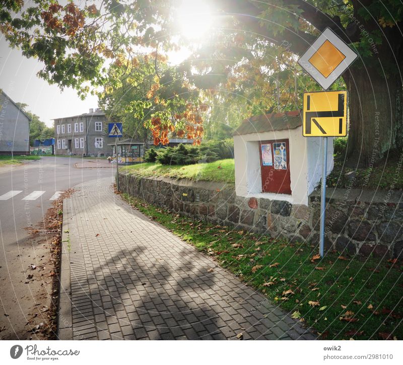 Ordnungshalber Wolkenloser Himmel Sonne Herbst Schönes Wetter Pflanze Baum Gras Polen Osteuropa Dorf Haus Mauer Wand Fassade Straße Verkehrszeichen hell