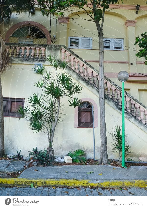 Trinidad Kuba Sommer exotisch Palme Stadt Menschenleer Haus Fassade Fenster Treppe Geländer Treppengeländer Kolonialstil Straße Bürgersteig authentisch einfach