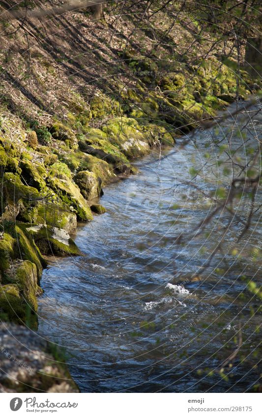 plätschern Umwelt Natur Landschaft Frühling Schönes Wetter Flussufer Bach nass natürlich blau grün Farbfoto Außenaufnahme Menschenleer Tag