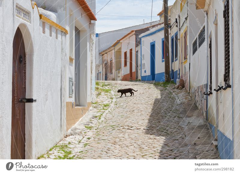 Rubble the cat and out the mouse! Portugal Algarve Raposeira Stadt Kleinstadt Haus Straße Katze schwarze Katze Volksglaube beschaulich Ferien & Urlaub & Reisen