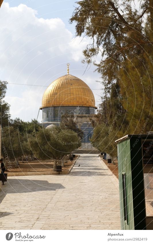 Felsendom Jerusalem Palästina Altstadt Dom Moschee Sehenswürdigkeit Wahrzeichen Denkmal Beginn Ärger einzigartig Erholung Ewigkeit exotisch Freiheit Frieden
