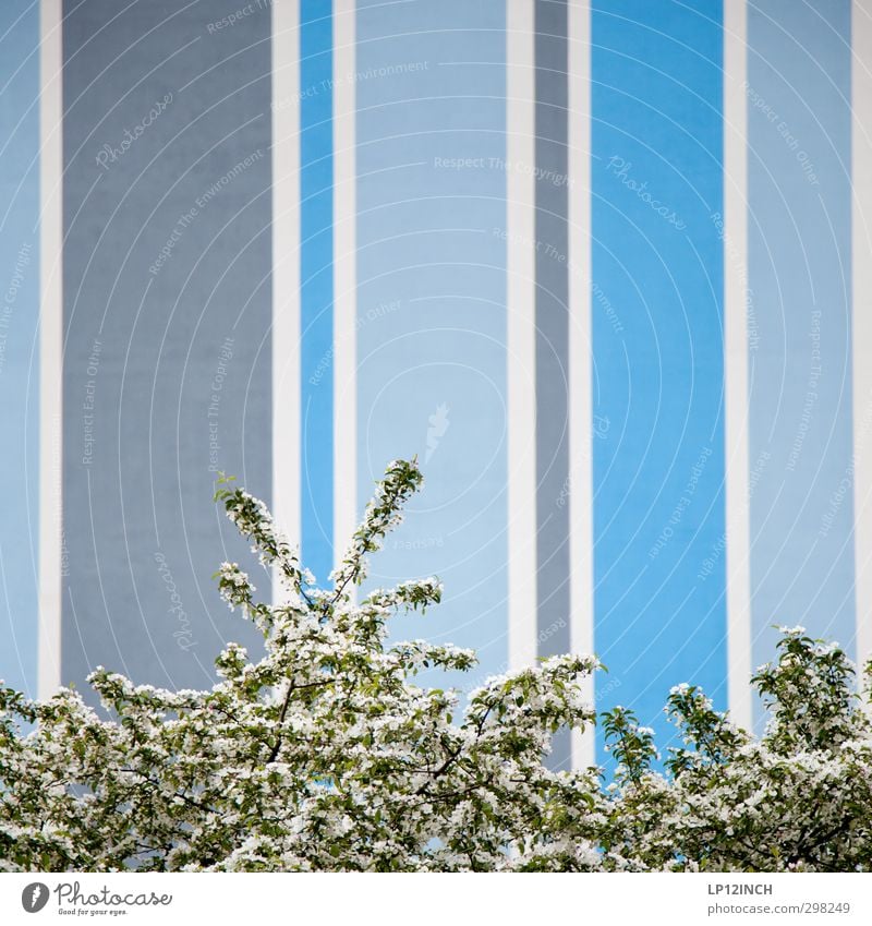 WILHELMSBURG | UMHERSTREICHEN Pflanze Tier Baum Blüte Wilhelmsburg Haus Gebäude Mauer Wand Fassade Freundlichkeit mehrfarbig Design Streifen Farbfoto