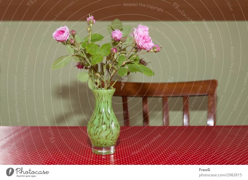 Rosenstrauß auf dem Küchentisch Blumenstrauß Damaszener-Rose alte Rose Vase mit Blumen Blüte Knospen rosa Dekoration & Verzierung Tisch Tischdecke weiße Punkte