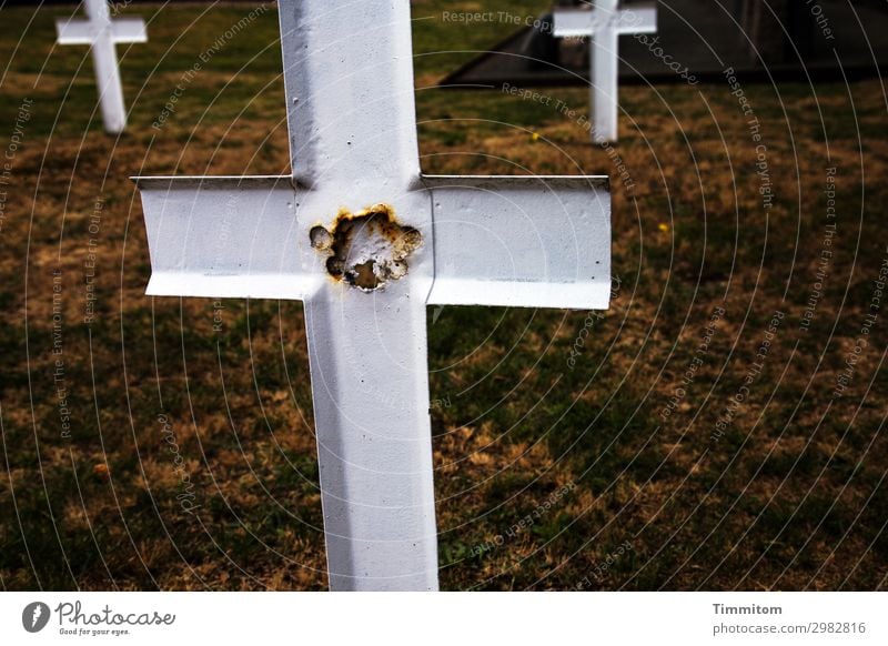 Ruhestätte Pflanze Gras Dänemark Christliches Kreuz Metall dunkel einfach kaputt braun weiß Gefühle demütig Traurigkeit Tod mahnen erinnern Friedhof Endlichkeit