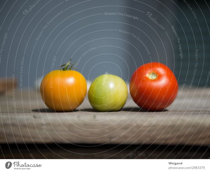 500 Lebensmittel Gemüse Ernährung Mittagessen Slowfood Pflanze Netzwerk liegen Zusammensein gelb grün rot Ernte Herbst Sommer Bioprodukte Tomate kochen & garen
