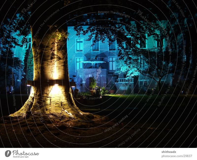 Illumina Licht Baum Nacht mystisch Freizeit & Hobby Istallation Beleuchtung Burg oder Schloss