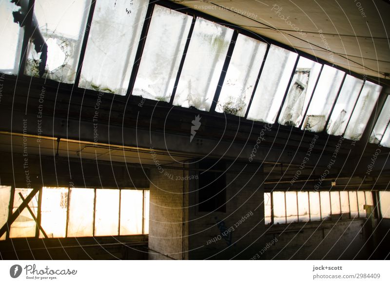 Nachhall in Halle Ruine Dach Säule Fensterfront Vergänglichkeit lost places Zahn der Zeit Lichteinfall DDR verfallen Strukturen & Formen Schatten Silhouette