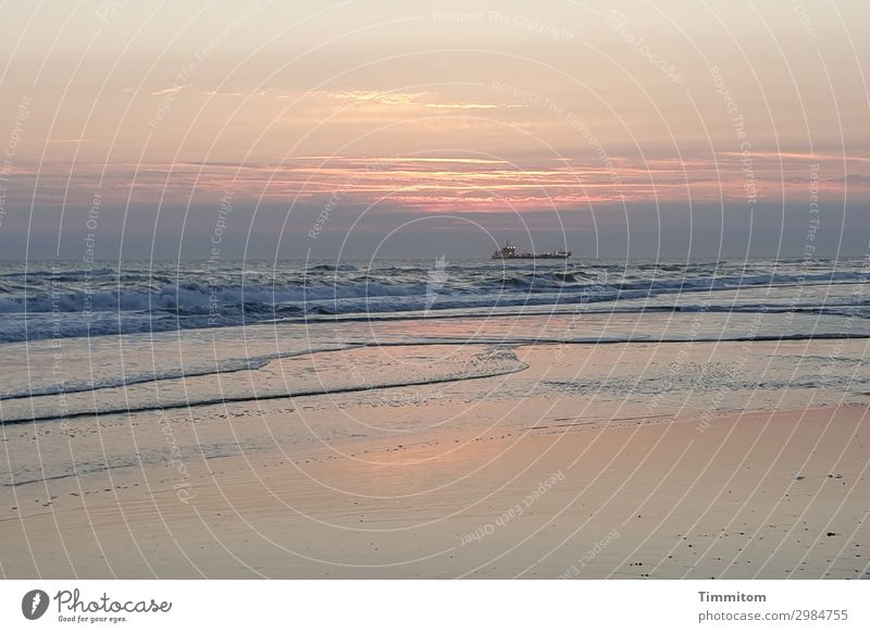 Sonnenuntergang Ferien & Urlaub & Reisen Umwelt Natur Urelemente Sand Wasser Himmel Wolken Nachthimmel Sonnenaufgang Schönes Wetter Wellen Strand Nordsee