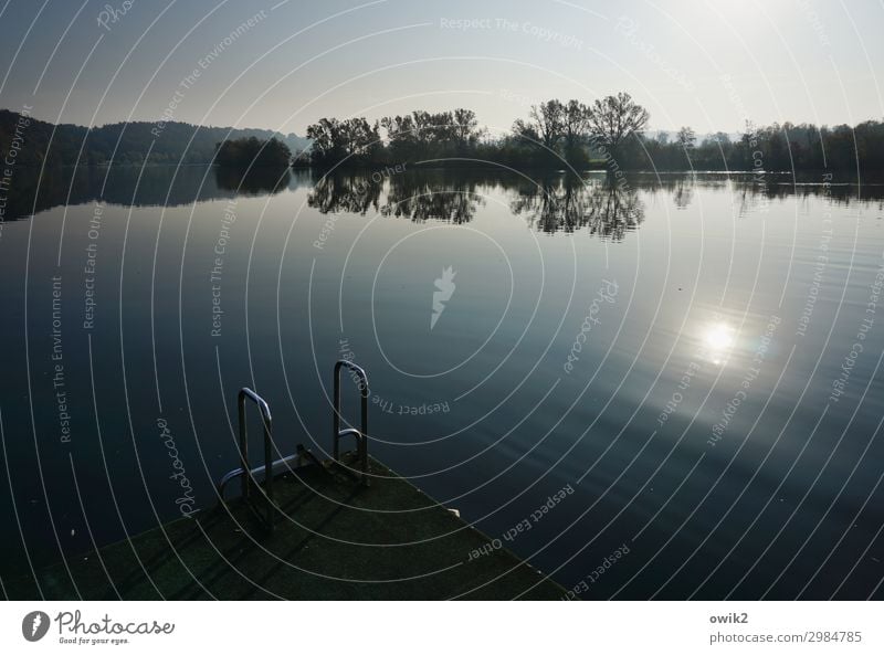 Bei Kelheim Umwelt Natur Landschaft Wasser Wolkenloser Himmel Horizont Herbst Schönes Wetter Baum Flussufer Donau Bayern leuchten Idylle Ferne fließen ruhig