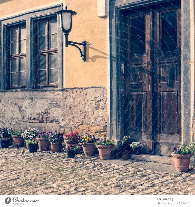 Alter Eingang mit Deko Straßenbeleuchtung Pflanze Sommer Schönes Wetter Blume Topfpflanze Dorf Stadt Altstadt Menschenleer Haus Fenster Tür Blumenstrauß alt