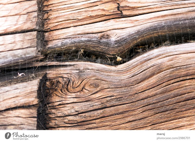 Eigenwillig Holz Riss Maserung alt außergewöhnlich elegant trocken geschnitten Patina verwittert abgelebt eigenwillig Farbfoto Gedeckte Farben Außenaufnahme