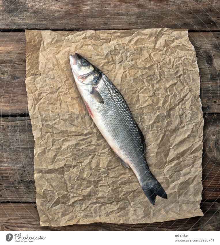 frischer ganzer Seebarschfisch auf braunem Knitterpapier Meeresfrüchte Ernährung Tisch Küche Natur Tier Papier Holz oben grau kulinarisch Feinschmecker