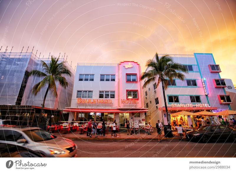 Hotels am Ocean Drive Lifestyle kaufen Stadt Straße trendy Originalität positiv Wärme Miami Miami Beach Stars and Stripes Florida Palme Baustelle PKW Mensch