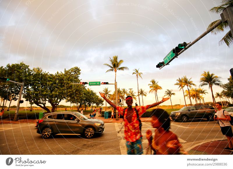 Miami Beach - Ocean Drive Straße trendy Strand Palme USA Florida Party Sonne Farbfoto Außenaufnahme