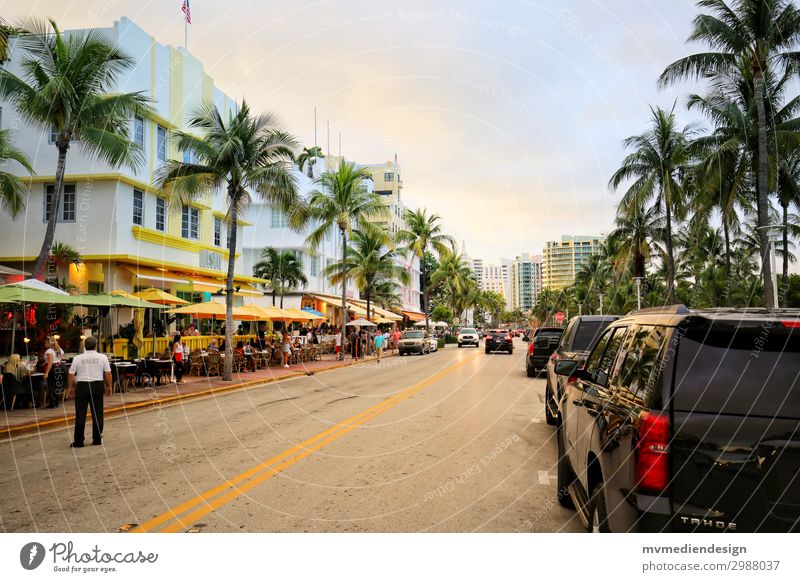 Miami Beach Gebäude Architektur Straße Wärme USA Florida Palme kaufen Restaurant Farbfoto Außenaufnahme