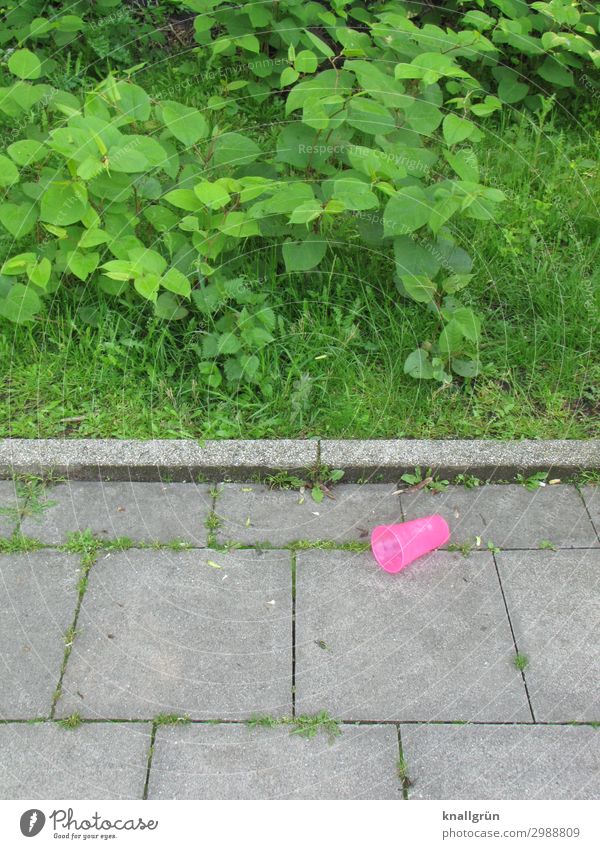 Shocking Pink Becher Plastikbecher Umwelt Pflanze Sträucher Stadt Bürgersteig liegen bedrohlich dreckig grau grün rosa Gefühle Stimmung Verantwortung vernünftig