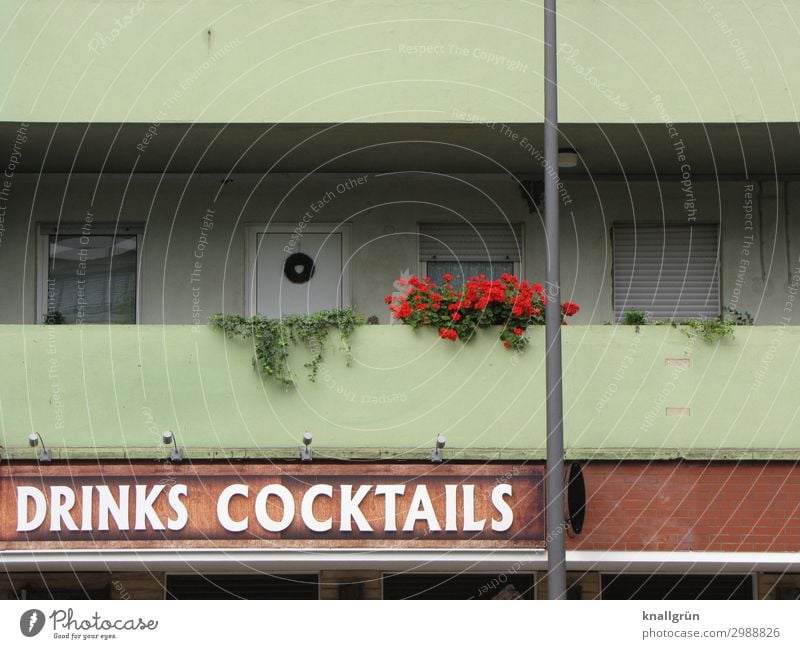 DRINKS COCKTAILS Grünpflanze Pelargonie Efeu Haus Fassade Balkon Blumenkasten Schriftzeichen Schilder & Markierungen Kommunizieren hässlich braun grün rot weiß