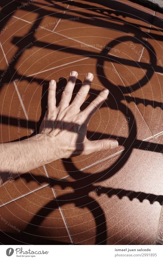 Mann Hand Schatten Silhouette auf dem Boden Finger Handfläche Körperteil Handgelenk Arme Haut Mensch Lichterscheinung Sonnenlicht gestikulieren Entwurf