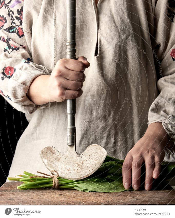 Frau in einem grauen Kleid schneidet Blätter von frischem Sauerampfer. Gemüse Salat Salatbeilage Kräuter & Gewürze Ernährung Vegetarische Ernährung Messer Tisch