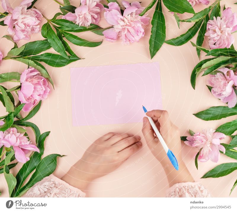Hand hält Hand einen weißen Stift über ein leeres rosa Blatt Papier. Lifestyle Körper Dekoration & Verzierung Tisch Feste & Feiern Valentinstag Muttertag