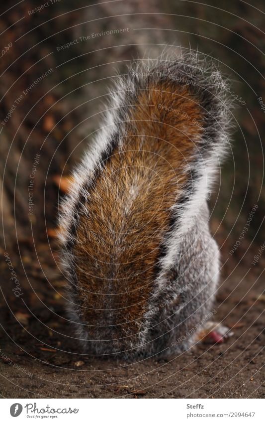 Bedeckt Halten Natur Schon Ein Lizenzfreies Stock Foto Von Photocase