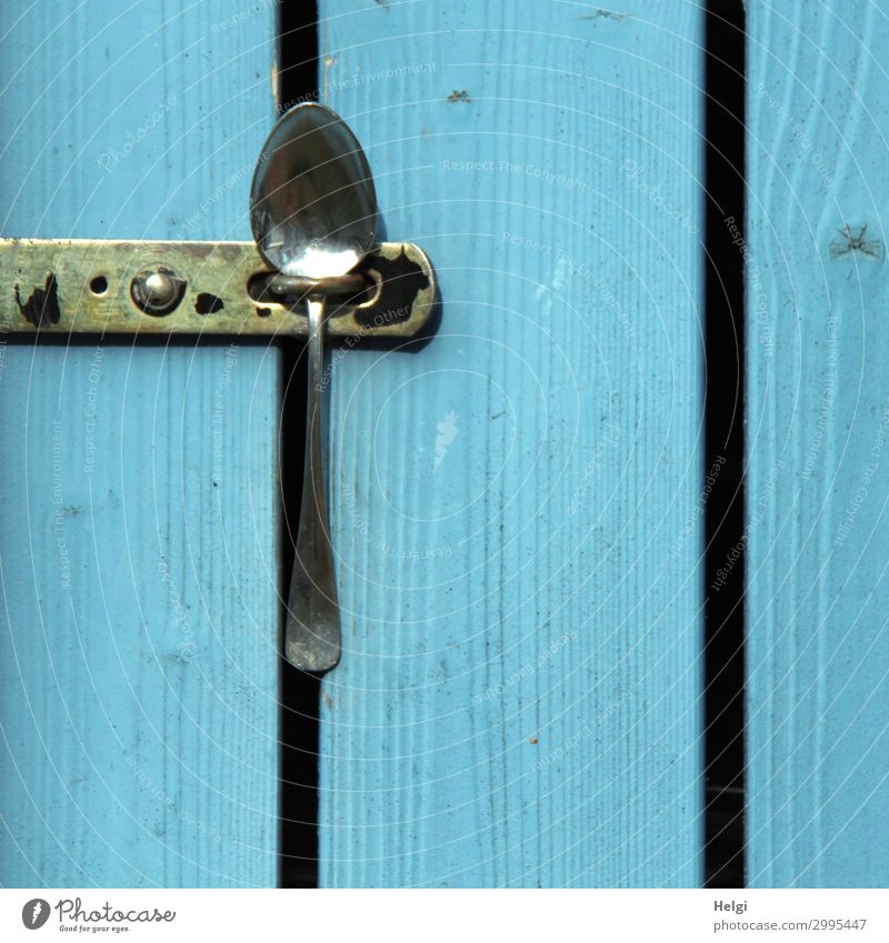 Detailaufnahme einer Holztür aus blau gestrichenen Brettern, die mit einem Löffen verschlossen ist Tür Verschluss Löffel Metall festhalten außergewöhnlich